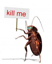 Cartoon Roach With Kill Me Sign