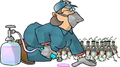 an inefficient way to kill roaches